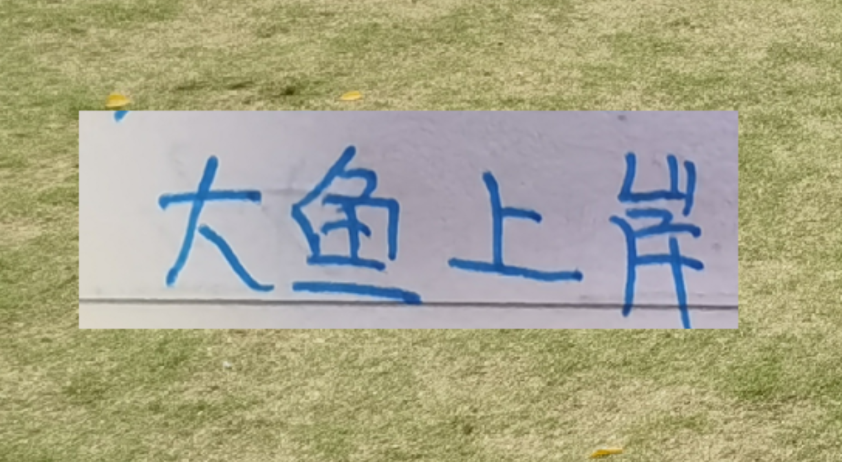 欧宝体育官方网站-海港本土大鱼上岸了！新赛季前2轮转正不在话下吗？
